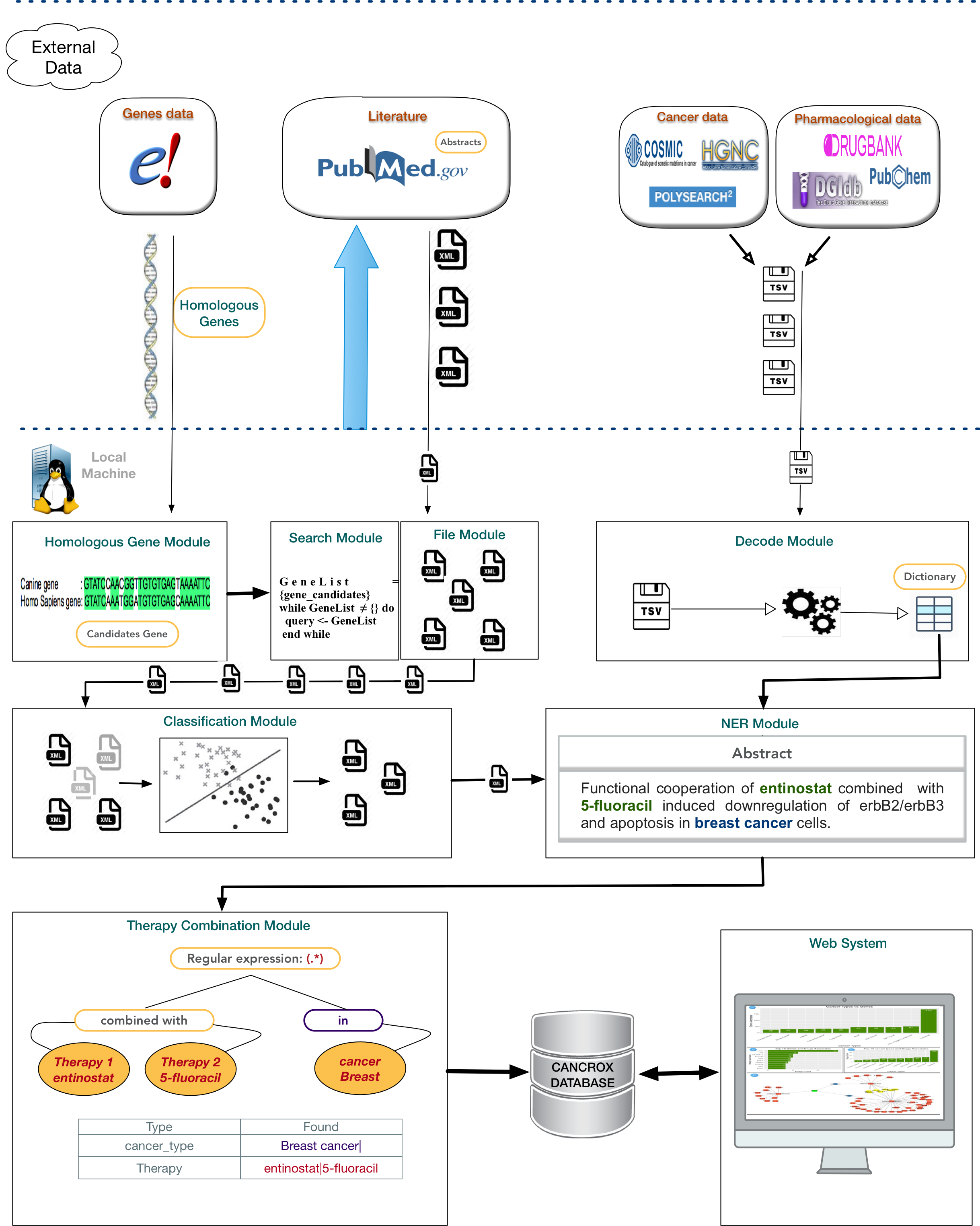 Architecture of the CANCROX database.